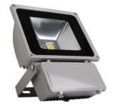 China High Power 50W LED Floodlight with CE&amp;RoHS Approval factory