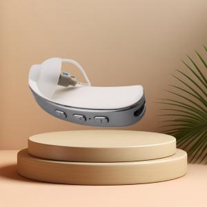 China Noise Reduction 200Hz Rechargeable Cic Hearing Aids BTE Hearing Problem Solution factory