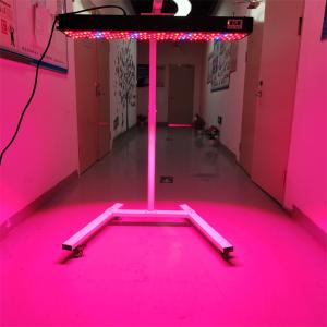 China 300-6000W Infrared PDT Light Therapy Device OEM/ODM 8 Wavelengths Model Full Body Use factory