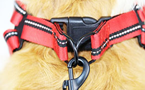 High Durable Adjustable No Pull Safety Pet Vest Training Daily Walking Medium And Large Dog Harness