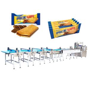 China 2.5kw Automatic Packing Machinery 700kg Sorting Auto Packaging Machine SN-250T factory
