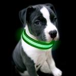C910 New Pet Product Customs Iluminous Nylon Printed Flashing LED Usb Rechargeab