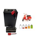 High Density Rechargeable Li Ion Battery 24V 100Ah Environmental Friendly
