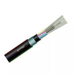 Loose Tube Fiber Optic Cable Double Jacket Armored Direct SM FO Cable