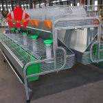Industrial Rabbit Breeding Cage Automatic Equipment Mother Baby Rabbit Poultry