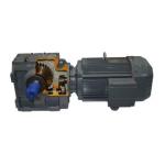 SAF47 Series Flange Intelligent Transmission Hollow Shaft Worm Gearbox Helical