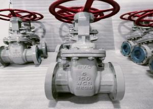 China 1/2 Inch Bolted Bonnet Valve OEM Services for High Growth Markets Customized factory