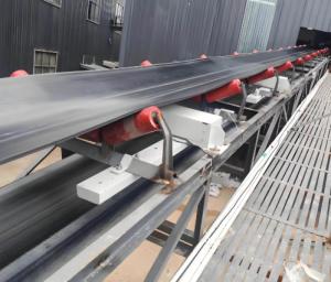 China Metering Industrial Belt Scale Weighing System On Site Installation Stainless Steel factory