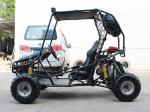 Horizontal 4 Storke 2 Seat Kids Off Road Go Kart Low Oil Comsuption