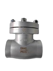 China OEM DN40 PN25 Cryogenic Check Valve Stainless Steel Disc Shaped For LNG factory