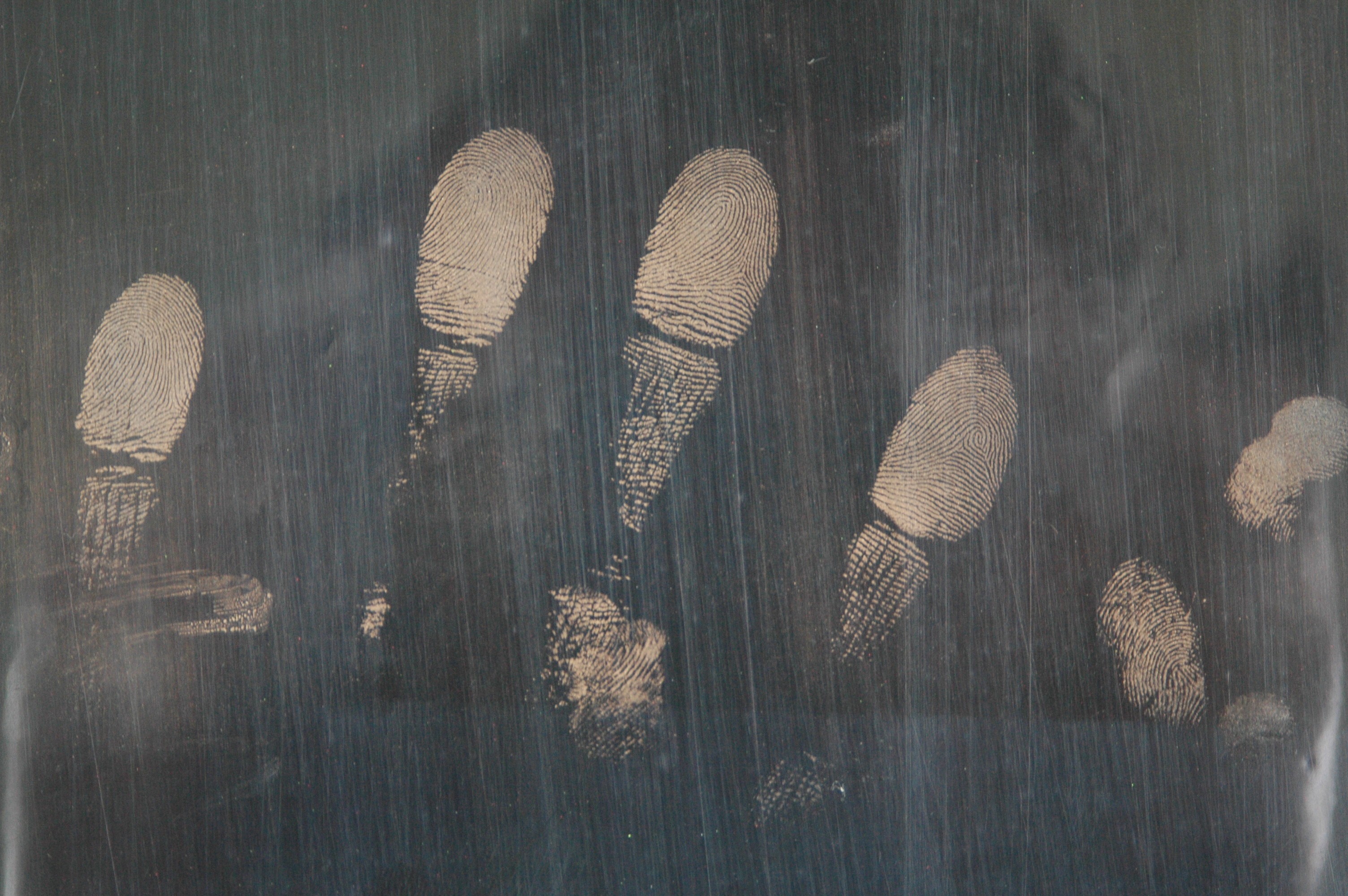 C067 Gold magnetic fingerprint powder