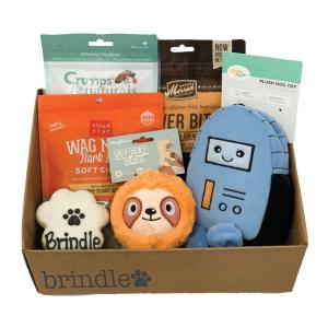 China Yummy Treats Personalized Dog Toy Box Festive Holiday Themed factory