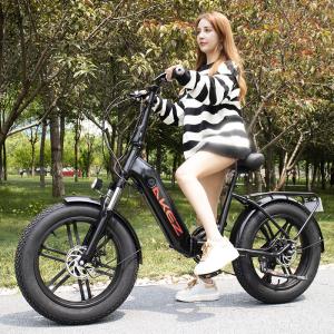 China Womens Lithium Battery Electric Bike Intelligent Brushless Controller factory