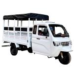 800W Semi-Cabin Motorized Cargo Tricycle with Enclosed Cabin and Plastic Cargo