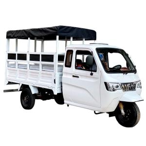 China 800W Semi-Cabin Motorized Cargo Tricycle with Enclosed Cabin and Plastic Cargo Cover factory
