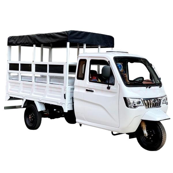800W Semi-Cabin Motorized Cargo Tricycle with Enclosed Cabin and Plastic Cargo