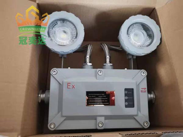 24-36VDC CCT 4500-6500K CRI ≥70 Customizable Fire Proof Emergency Light