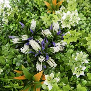 China Plastic Covering Artificial Aesthetic Plants 40mm Home Decor Wall For Inner factory
