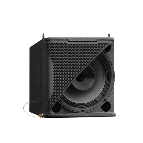 ARE Audio Passive Single 10 Inch Full Range PA System Professional Speakers for