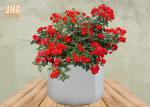 Frosted Clay Plant Pots Homewares Decorative Items Geometric Flower Pots Garden