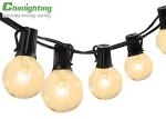 G40 25Ft Incandescent Globe Outdoor Waterproof String Light