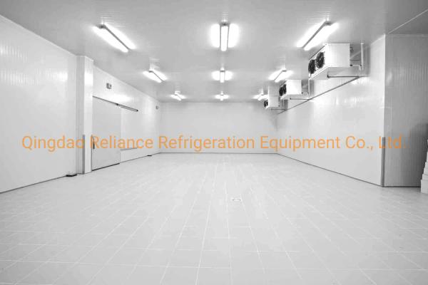 Deep Blast Frozen Freezer for Food -10-0C Sliding Door Commercial Walk in