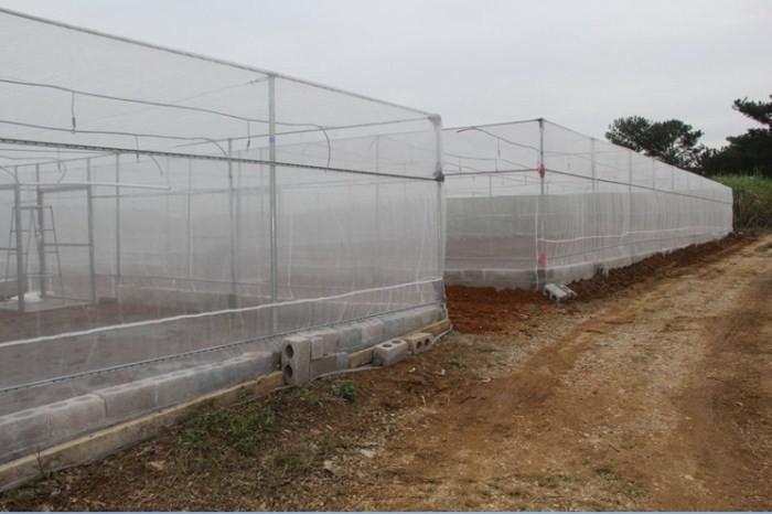 Professional Insect Screen Mesh For Crop Protection 10x10 / 25x25 Size