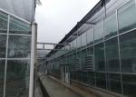 Farm Tempered Glass Greenhouse Hollow Insulated Building Facade High Strength
