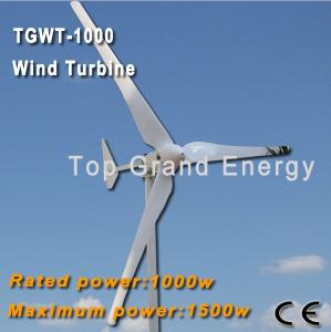 China TGWT-1000M 1000W 48V wind turbine Three phase permanent magnet AC synchronous generator factory