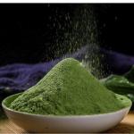Fresh Vegetable Spinach Powder Bulk Organic Red Spinach Extract