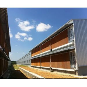 Stable And Durable Prefabricated Steel Structure Poultry Farm Building