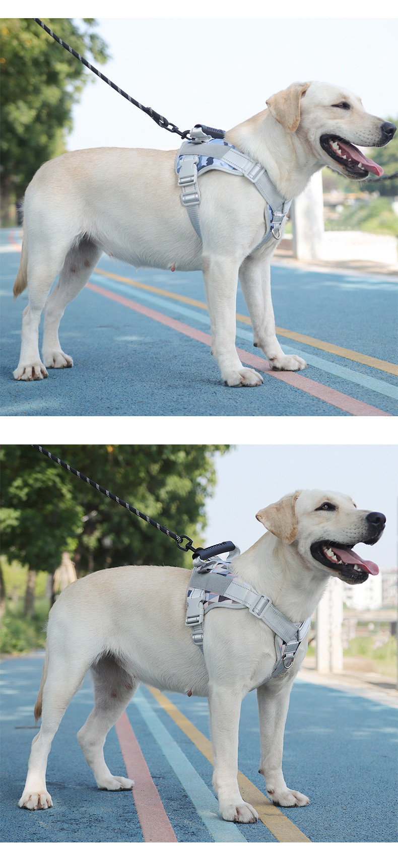 Pet Safety Harness Leash Easy To Clean Adjustable Buckle For Dogs