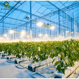 China High Yield Large Vertical Hydroponic Greenhouse Soilless Cultivation factory