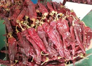China Guajillo Sun Dried Chilli Red Guajillo Peppers Sweet Flavor KOSHER factory