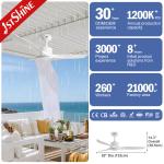 Outdoor Simple Design Waterproof ABS Blades Ceiling Fan With Remote Control