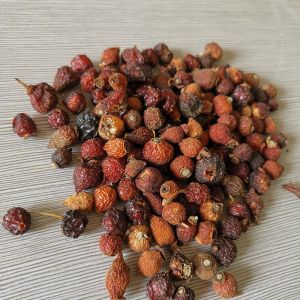 1 Chutes 64 Channels High Capacity Rosehip Sorting Machine With WiFi Remote