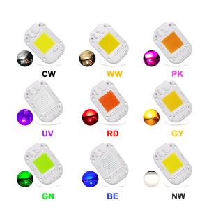 China Cool White RGB LED Module 30W 220V LED COB Chip Color Temperature 6500K factory