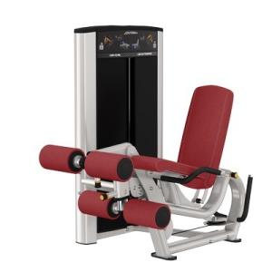 China Leg Curl Extension Commercial Gym Multifunction Steel Prone Leg Extension factory