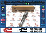 Wholesale Directly Supply QSK19 QSK60 Engine Fuel Injector 4928348