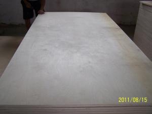 China Birch F/B Poplar Plywood factory