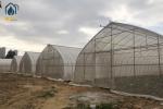 PE PO Film Tunnel Greenhouse Commercial Agricultural Greenhouse Customizable