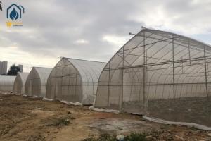China PE PO Film Tunnel Greenhouse Commercial Agricultural Greenhouse Customizable factory