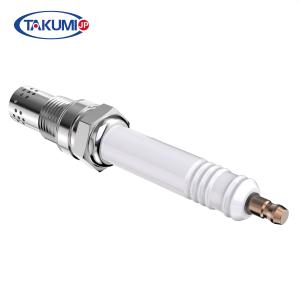 China R10P3 Jenbacher Spark Plug For Jenbacher P3 V3 V5 462203 347257 401824 factory