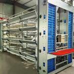 Galvanized Steel 96-200 Birds Poultry Battery Cage System For Layer Farm Emily