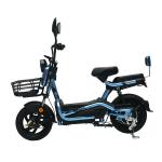 ELECTRIC VEHICLE WITH REMOTE CONTROL KEY TWO-PERSON ELECTRIC BICYCLE NEW BATTERY