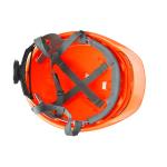 N.W. 17KG Industrial Safety Hard Hat with Goggles and Anti-fog PC Visor Logo
