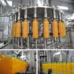 380v High Accurate Small Scale Juice Bottling Equipment