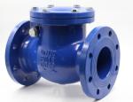 DN50 Flanged End Carbon Steel PN40 Din Standard Ball Type Flange Check Valve