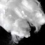 1.3Dtex 38mm Lyocell Fibers Eco-Friendly Biodegradable Rayon Staple Fiber For