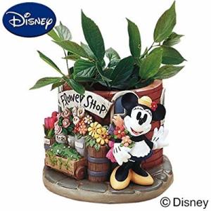 China OEM Interior Decorative Flowerpot with Wholesale Price factory